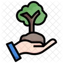 Spriessen Neu Pflanzen Wald Symbol