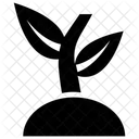 Junge Pflanze Baumchen Plantage Symbol
