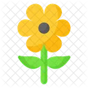 Spring Season Flower Icon
