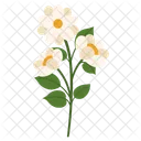 Spring blossom flowers illustration  Icon