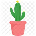 Spring cactus plant element  Icon