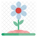 Flower Spring Flower Nature Icon