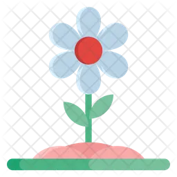 Spring Flower  Icon