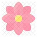 Spring Spring Flower Flower Icon