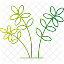 Spring Flower Plant Spring Bloom Seasonal Flower Icon