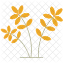 Spring Flower Plant Spring Bloom Seasonal Flower Icon