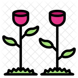 Spring  Icon