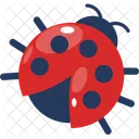 Spring Lady Bird Icon