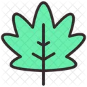 Leave Spring Green Icon
