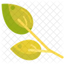 Spring Leaves  Icon