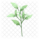 Spring leaves  Icon