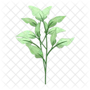 Spring leaves  Icon