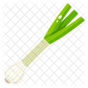 쪽파 양파 야채 아이콘
