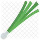 Spring Onion  Icon