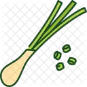 Spring Onion  Icon