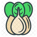 Spring Onion  Icon