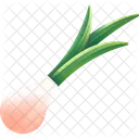 Spring Onion Vegetable Healthy Icon