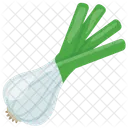 Spring Onion Raw Icon