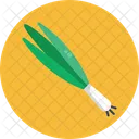 Spring Onions  Icon