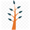 Generic Plant Tree Icon