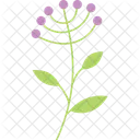 Spring Plant  Icon