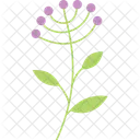 Spring Plant Plant Spring Icon