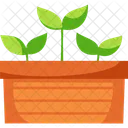 Spring Plant Sprout Icon