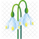 Snowflake Snow Winter Icon