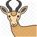 Springbock  Icon