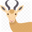 Springbock  Icon