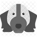Springer Spaniel Pet Domestic Icon