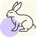 Springhase Symbol