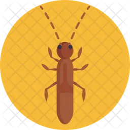 Springtail  Icon