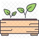 Sprout Seedling Box Icon