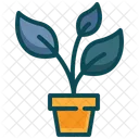 Nature Tree Seedling Icon