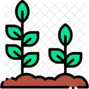 Sprout Plant Trees Icon