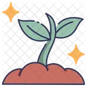 Cartoon Sprout Icon