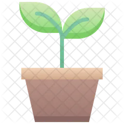 Sprout  Icon