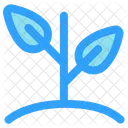 Sprout Plant Organic Icon