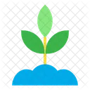 Plant Small Tree Nature Icon