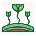 Sprout Plants Growth Icon