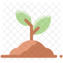 Sprout Grow Plant Icon