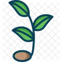 Sproutv Sprout Plant Icon