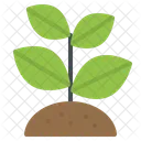 Sprout Tree Plant Icon