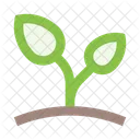 Sprout Herb Icon
