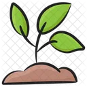 Plant Eco Ecology Icon