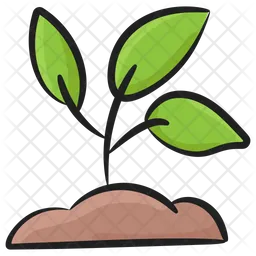 Sprout  Icon