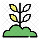 Sprout Farm Agriculture Icon