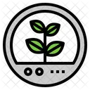Capsule Plant Sprout Icon