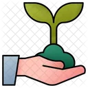 Sprout Ecology Tree Icon